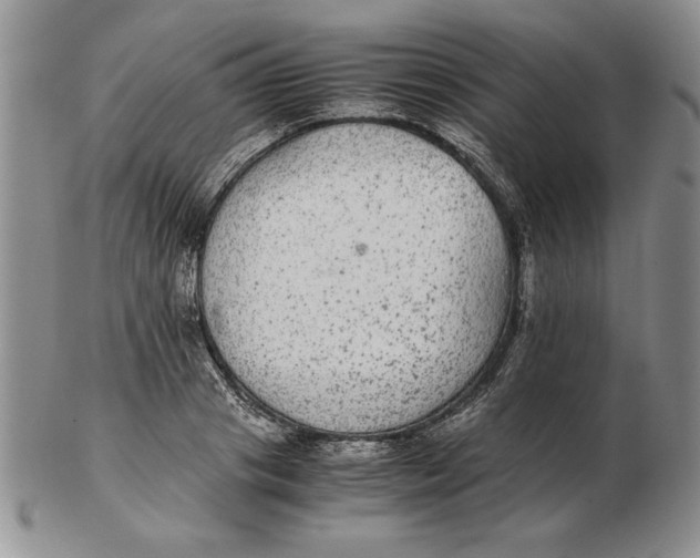 X0000102380841200808221800