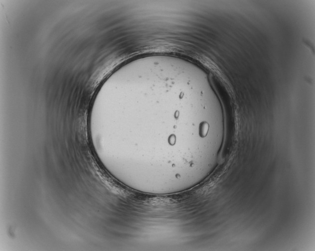 X0000102380842200808221800