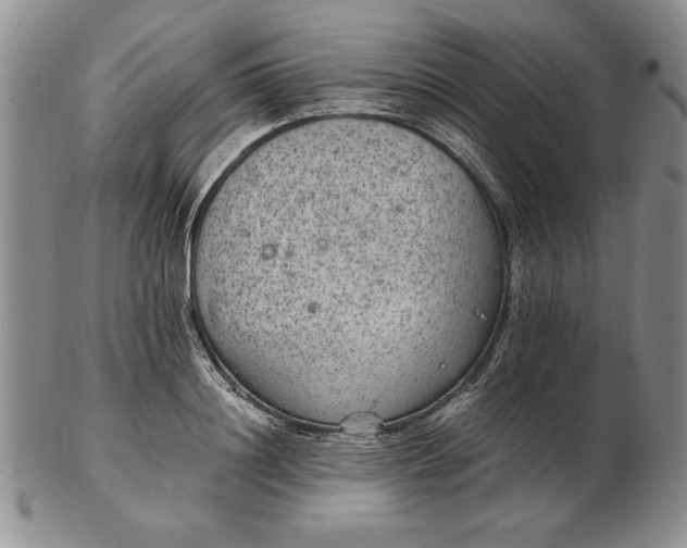 X0000102380844200808221800