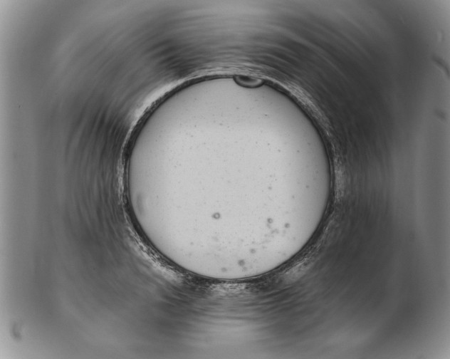 X0000102380846200808221800