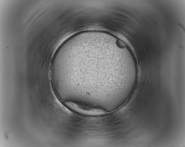 X0000102380847200808221800