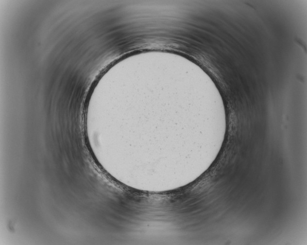 X0000102380848200808221800