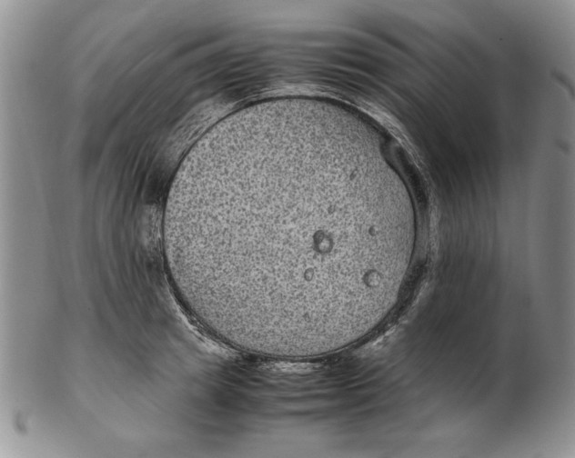 X0000102380849200808221800