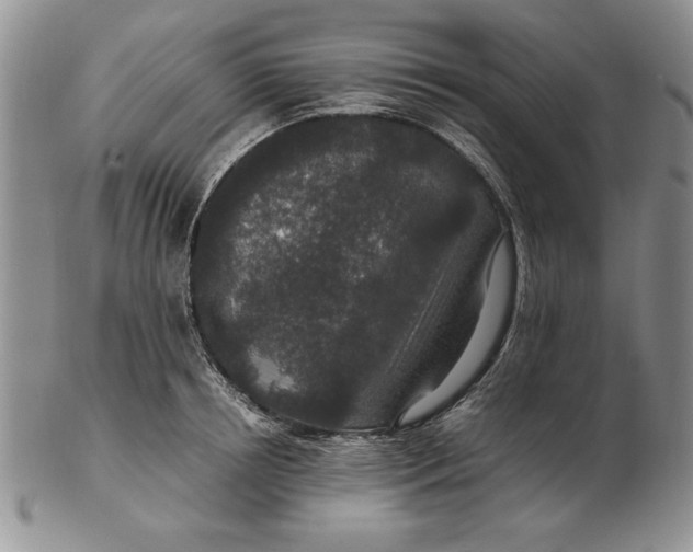 X0000102380850200808221800