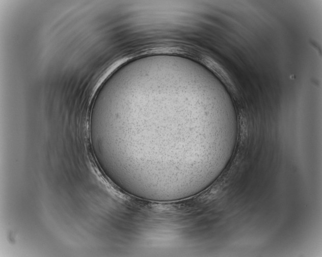 X0000102380852200808221800