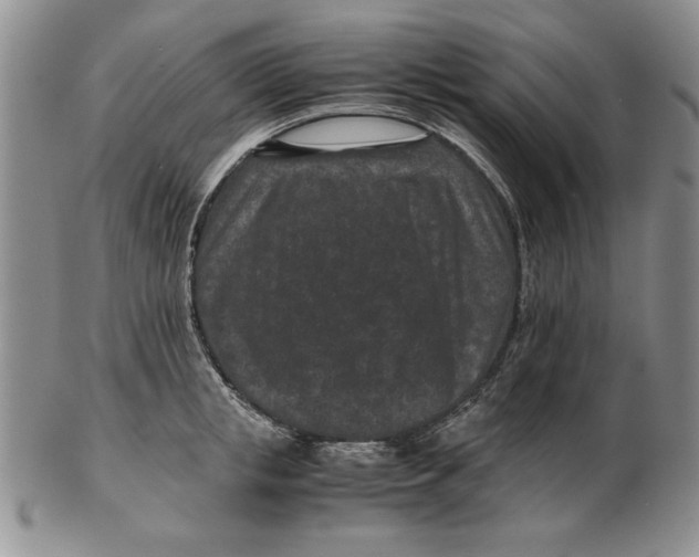 X0000102380853200808221800