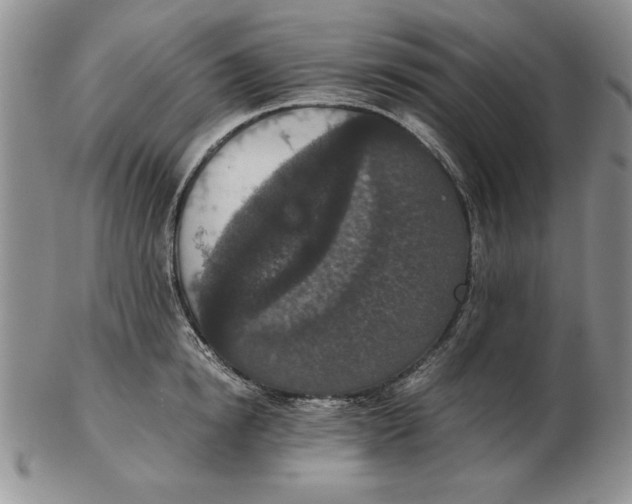 X0000102380854200808221800