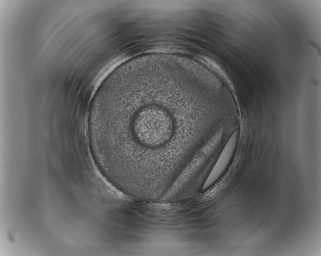 X0000102380855200808221800