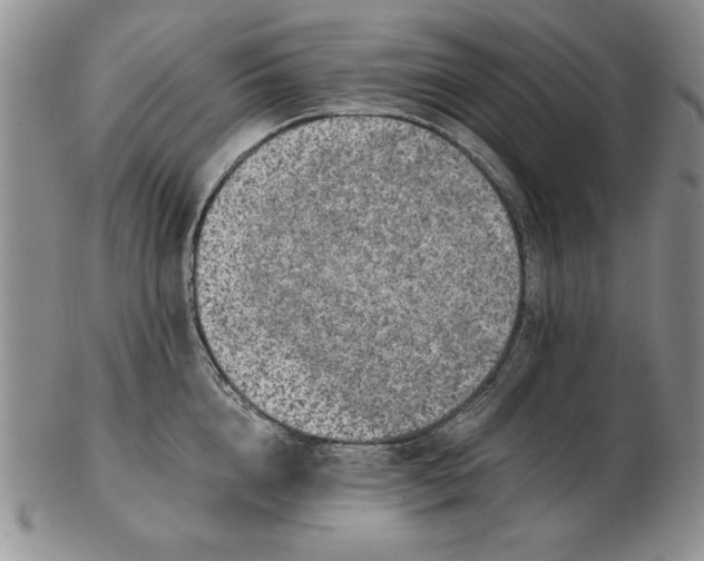 X0000102380856200808221800