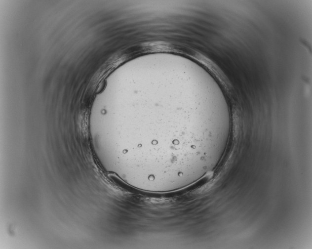 X0000102380857200808221800