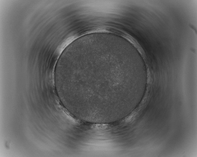 X0000102380858200808221800