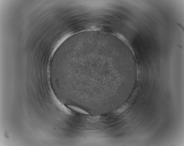 X0000102380859200808221800