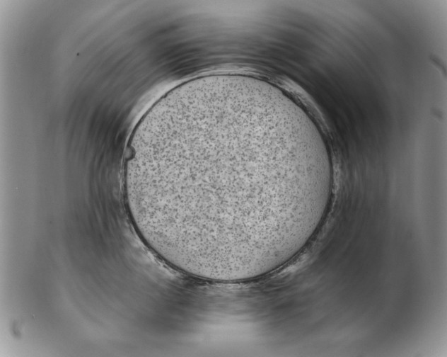 X0000102380860200808221800