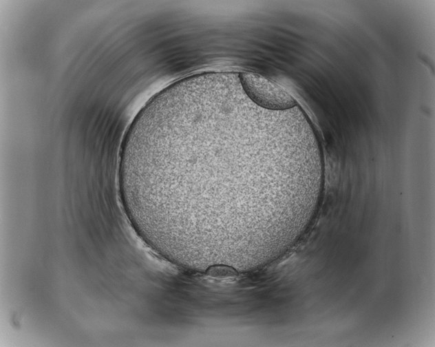 X0000102380861200808221800