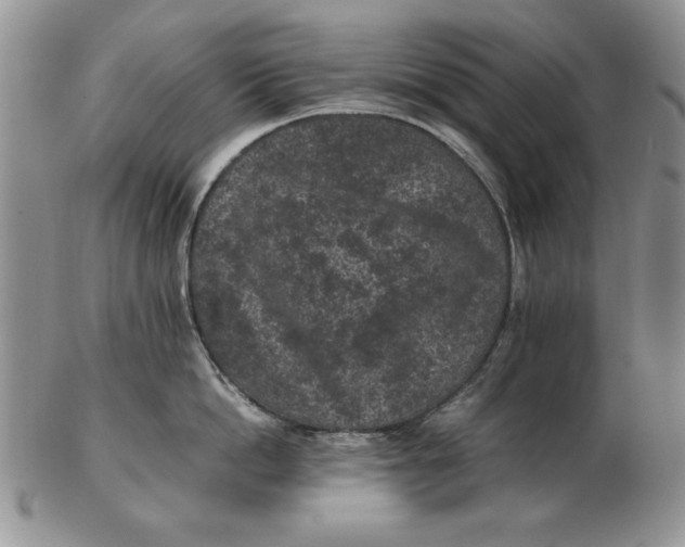 X0000102380862200808221800