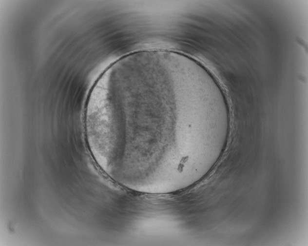 X0000102380864200808221800