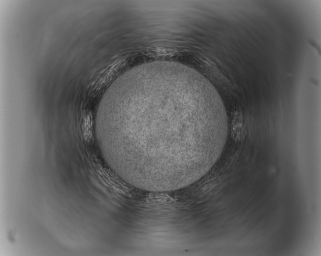 X0000102380866200808221800