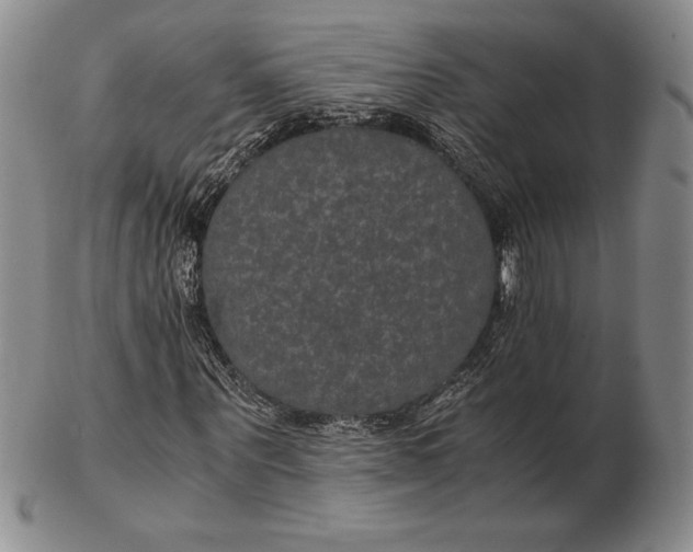 X0000102380867200808221800