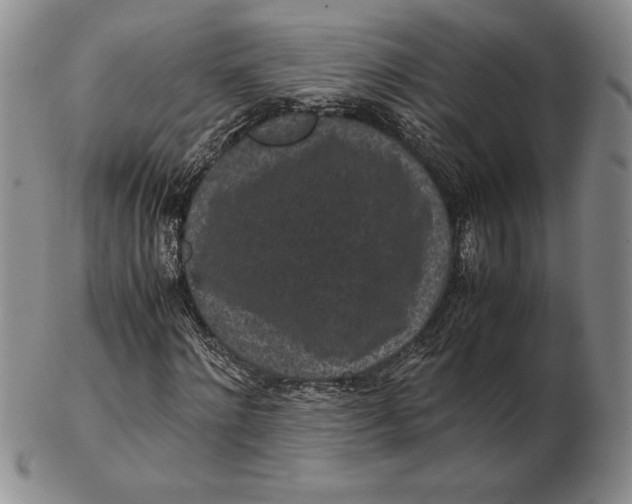 X0000102380868200808221800