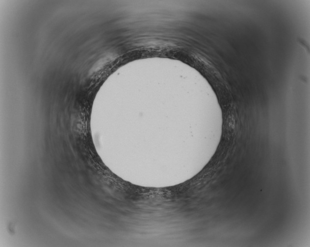 X0000102380869200808221800