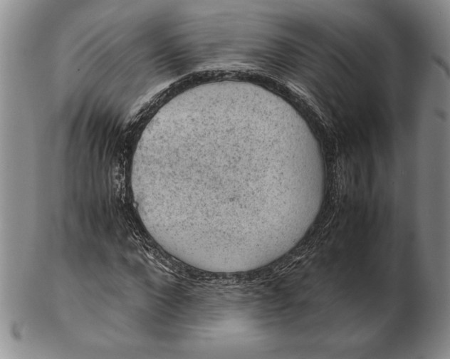 X0000102380872200808221800