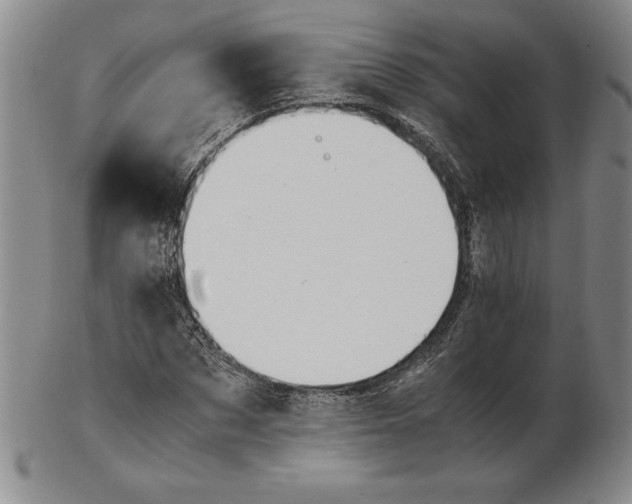 X0000102380873200808221800