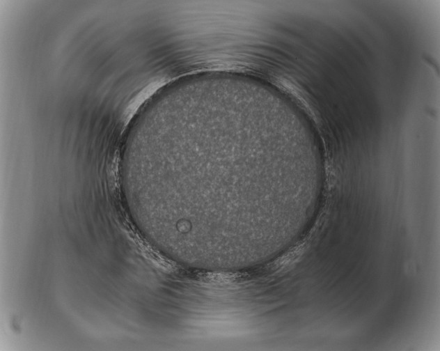 X0000102380875200808221800