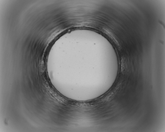 X0000102380876200808221800