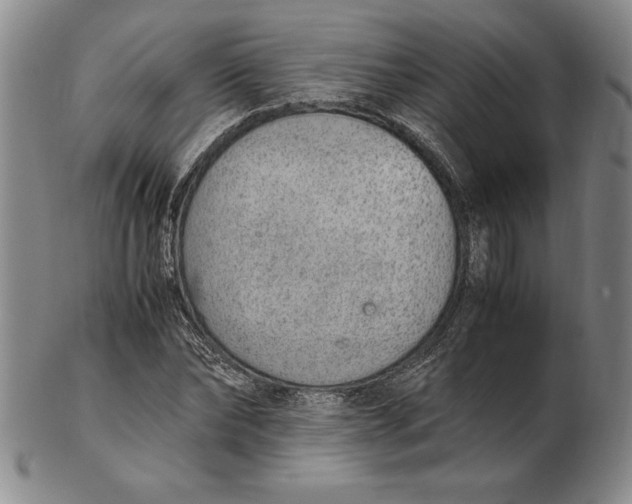 X0000102380878200808221800