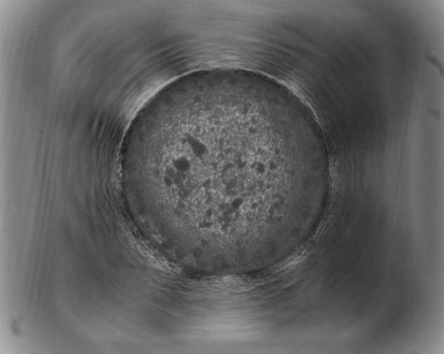 X0000102380879200808221800