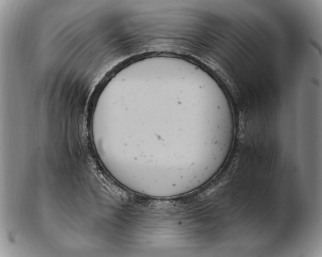 X0000102380880200808221800