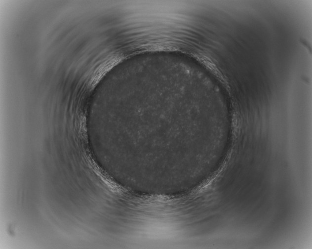 X0000102380881200808221759