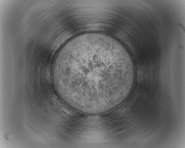 X0000102380882200808221759