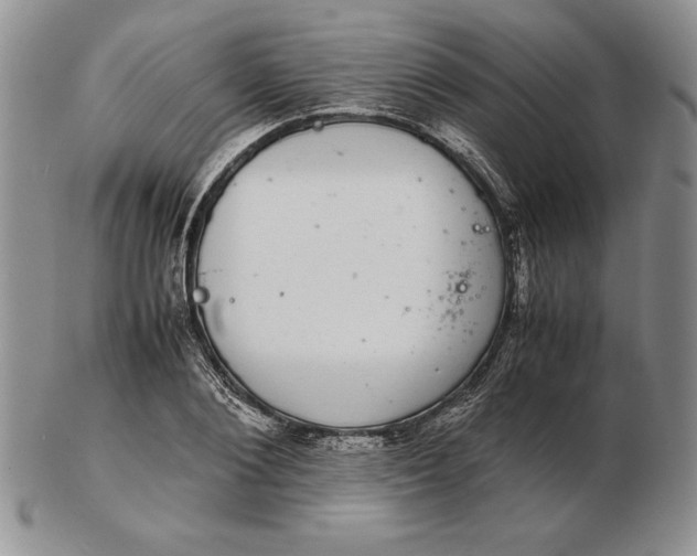 X0000102380884200808221759