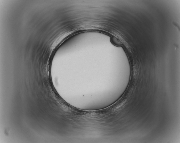 X0000102380885200808221759