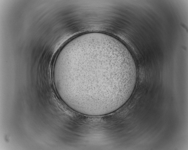 X0000102380886200808221759