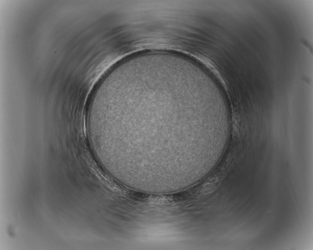 X0000102380887200808221759