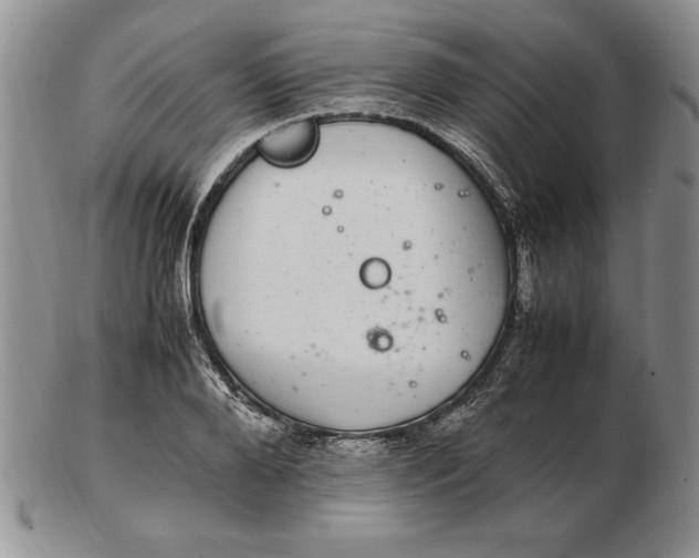 X0000102380888200808221759