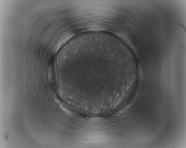 X0000102380889200808221759