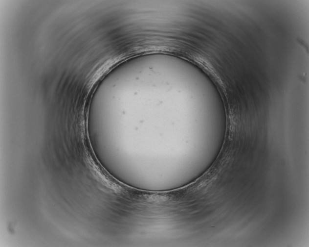 X0000102380890200808221759