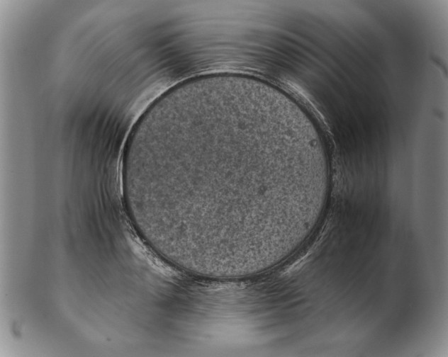 X0000102380892200808221759