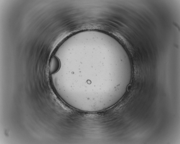 X0000102380894200808221759