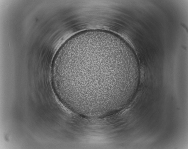 X0000102380895200808221759