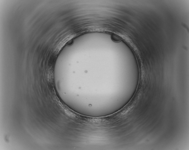 X0000102380897200808221759