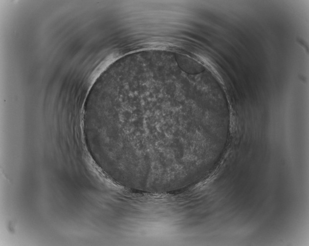 X0000102380899200808221759