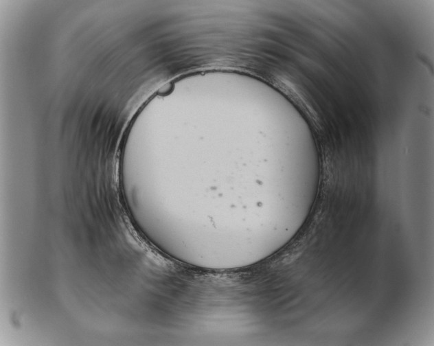 X0000102380900200808221759