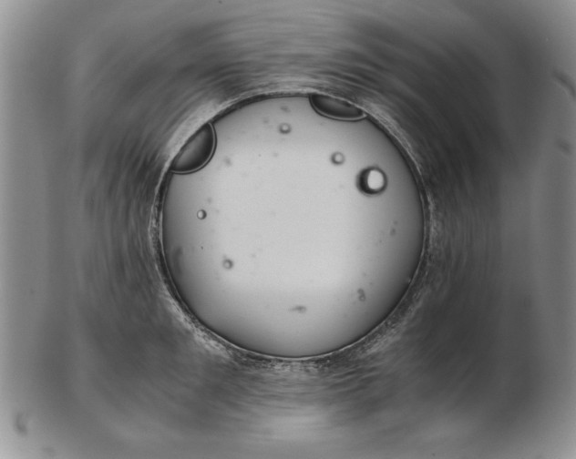 X0000102380901200808221759