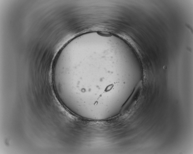 X0000102380902200808221759