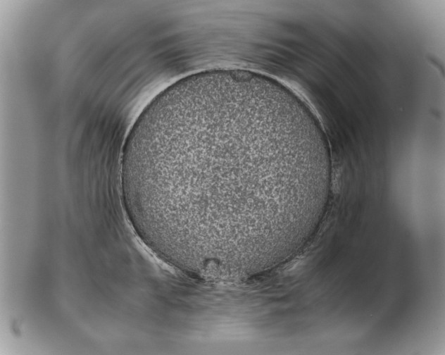 X0000102380903200808221759