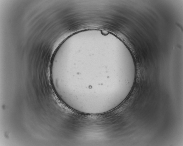 X0000102380904200808221759